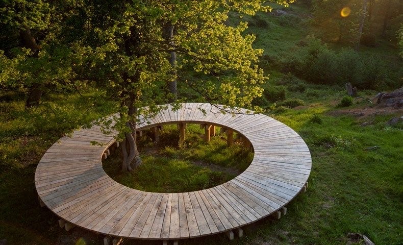 A circular timber platform around a tree